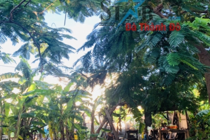 Cần bán lô đất đường Nguyễn Đóa, Hòa Xuân, TP Đà Nẵng