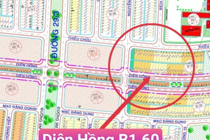 Bán lô đất đường Diên Hồng( Đại lộ Trung lương), Gần sát 29/3