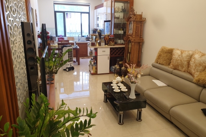 Cần bán ngôi nhà xây tâm huyết để ở đường Tôn Thất Dương Kỵ, Hòa Xuân, Cẩm Lệ - Đà Nẵng 