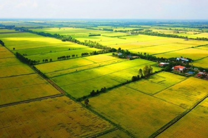 Hạn mức nhận chuyển quyền sử dụng đất nông nghiệp của HGĐ, cá nhân