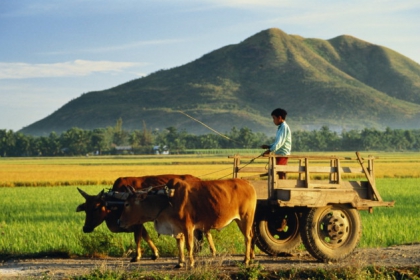 Trung Quốc: Gần một nửa nông dân bị thu hồi đất