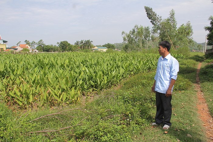 một người đàn ông đang đứng cạnh một khu đất nông nghiệp