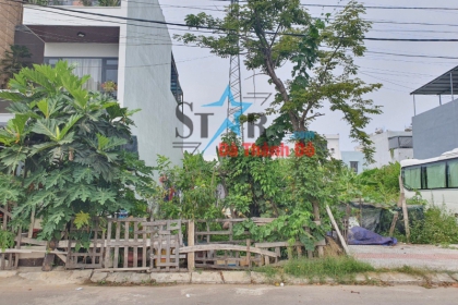 Bán đất đường Thái Văn Lung, đường thông, giá rẻ nhất thị trường Bán đất đường Thái Văn Lung, đường thông, giá rẻ nhất thị trường