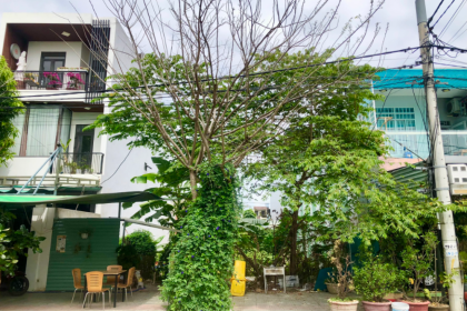 Bán Đất đường Mạc Đăng Dung - gần công viên siêu đẹp - 3.65 tỷ Bán Đất đường Mạc Đăng Dung - gần công viên siêu đẹp - 3.65 tỷ