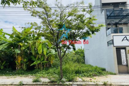 CHÍNH CHỦ BÁN LÔ ĐẤT ĐƯỜNG THÁI VĂN LUNG GẦN CẦU HÒA XUÂN SẠCH ĐJEP CHÍNH CHỦ BÁN LÔ ĐẤT ĐƯỜNG THÁI VĂN LUNG GẦN CẦU HÒA XUÂN SẠCH ĐJEP