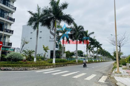 BÁN ĐẤT ĐƯỜNG HÀNG DỪA - TRỤC ĐƯỜNG THÔNG THẲNG NỐI LIỀN CẦU BÙI TÁ HÁN- HÒA XUÂN - VỊ TRÍ HIẾM CÓ BÁN ĐẤT ĐƯỜNG HÀNG DỪA - TRỤC ĐƯỜNG THÔNG THẲNG NỐI LIỀN CẦU BÙI TÁ HÁN- HÒA XUÂN - VỊ TRÍ HIẾM CÓ