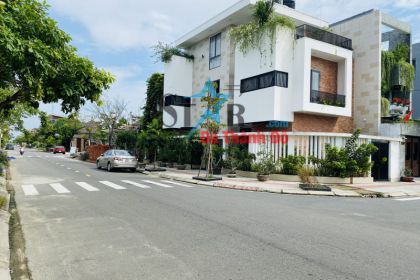 Cần Bán Lô Đất Đảo Vip Đường Huỳnh Văn Gấm Có Sẵn Mặt Bằng Để Kinh Doanh Cần Bán Lô Đất Đảo Vip Đường Huỳnh Văn Gấm Có Sẵn Mặt Bằng Để Kinh Doanh