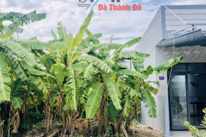 Bán đất đường TRẦN VIỆN, đường thông, song song sân vận động lớn hòa xuân Bán đất đường TRẦN VIỆN, đường thông, song song sân vận động lớn hòa xuân