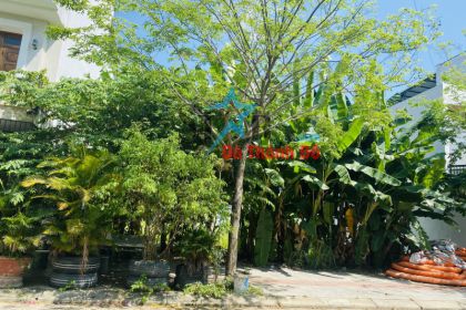 BÁN 2 LÔ LIỀN KỀ ĐƯỜNG CỒN DẦU 24 ĐÔNG NAM SẠCH ĐẸP BÁN 2 LÔ LIỀN KỀ ĐƯỜNG CỒN DẦU 24 ĐÔNG NAM SẠCH ĐẸP