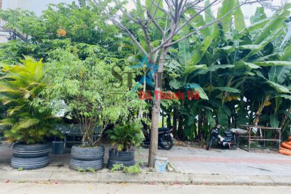 BÁN 2 LÔ LIỀN KỀ ĐƯỜNG CỒN DẦU 24 ĐÔNG NAM SẠCH ĐẸP BÁN 2 LÔ LIỀN KỀ ĐƯỜNG CỒN DẦU 24 ĐÔNG NAM SẠCH ĐẸP