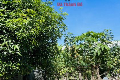 BÁN LÔ ĐẤT ĐƯỜNG LÊ ĐỈNH - HÒA XUÂN - 113 M2 - VỊ TRÍ GẦN NGÃ TƯ THÔNG THƯƠNG BÁN LÔ ĐẤT ĐƯỜNG LÊ ĐỈNH - HÒA XUÂN - 113 M2 - VỊ TRÍ GẦN NGÃ TƯ THÔNG THƯƠNG