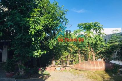 Bán lô đất đường Lê Đỉnh 113m2 Hướng Đông - Khu Nam Cẩm Lệ Hòa Xuân Bán lô đất đường Lê Đỉnh 113m2 Hướng Đông - Khu Nam Cẩm Lệ Hòa Xuân