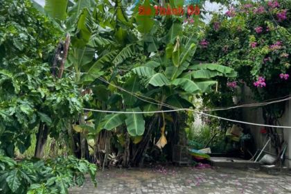 Bán đất đường 7m5 Phan Khôi 100m2 Hướng Đông SÁT gÓC- Khu Nam Cẩm Lệ Hòa Xuân - Đà Nẵng Bán đất đường 7m5 Phan Khôi 100m2 Hướng Đông SÁT gÓC- Khu Nam Cẩm Lệ Hòa Xuân - Đà Nẵng