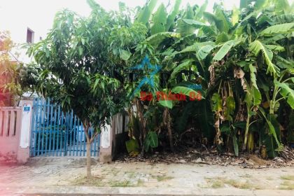 BÁN ĐẤT ĐƯỜNG 5M5 LỖ GIÁNG 8 HƯỚNG NAM MÁT MẺ GẦN CẦU CẨM LỆ BÁN ĐẤT ĐƯỜNG 5M5 LỖ GIÁNG 8 HƯỚNG NAM MÁT MẺ GẦN CẦU CẨM LỆ