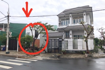 CHÀO BÁN LÔ ĐẤT ĐƯỜNG HOÀNG CHÂU KÝ GẦN ĐƯỜNG TRẦN NAM TRUNG - HÒA XUÂN CHÀO BÁN LÔ ĐẤT ĐƯỜNG HOÀNG CHÂU KÝ GẦN ĐƯỜNG TRẦN NAM TRUNG - HÒA XUÂN