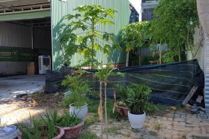 B2.42 LÔ 17 B2.42 LÔ 17