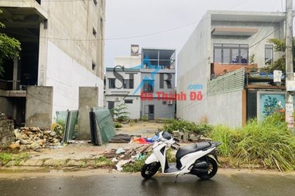 Bán Cặp Diên Hồng Gần Sông Giá Tốt Bán Cặp Diên Hồng Gần Sông Giá Tốt