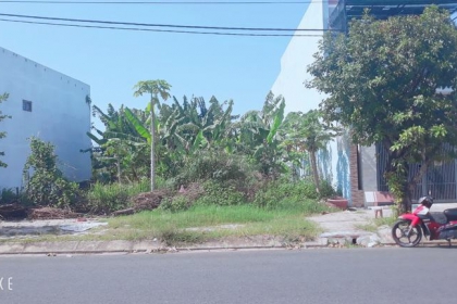 Bán Mẹ Thứ , Đường Thông , giá tốt Bán Mẹ Thứ , Đường Thông , giá tốt