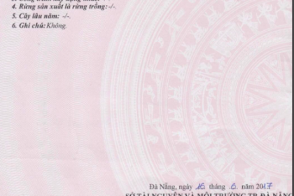 BIỆT THỰ ĐĂO VIP - TRUNG LƯƠNG 8 - 8.75 TỶ- HÒA XUÂN BIỆT THỰ ĐĂO VIP - TRUNG LƯƠNG 8 - 8.75 TỶ- HÒA XUÂN