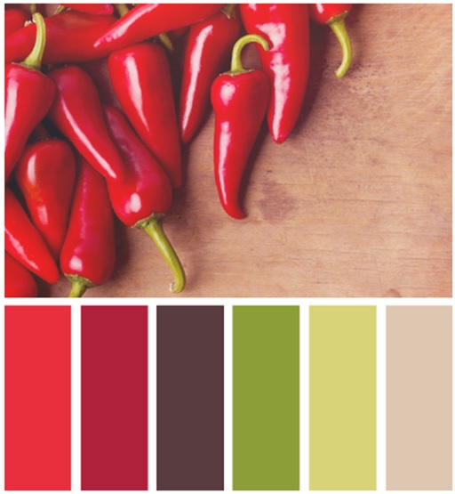 Bảng màu cho tủ bếp phía Nam màu sắc tủ bếp phía Nam