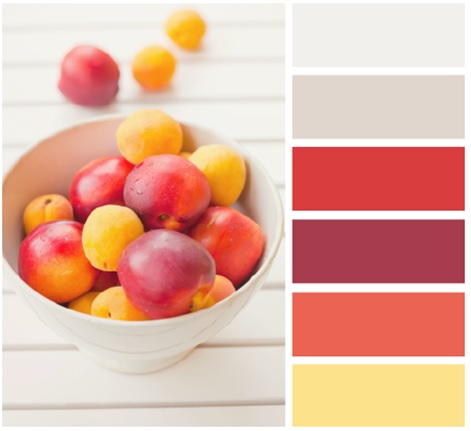 Bảng màu cho tủ bếp phía Tây Nam màu sắc tủ bếp phía Tây Nam