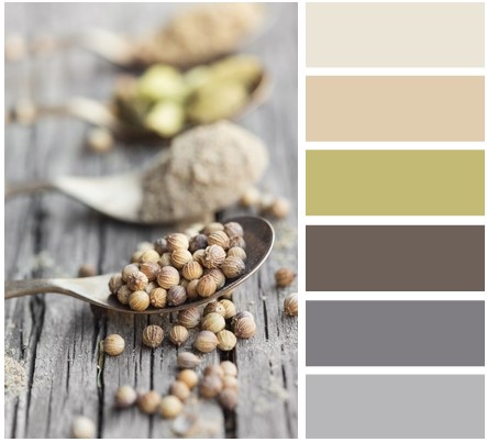 Bảng màu cho tủ bếp phía Tây Bắc màu sắc tủ bếp phía Tây Bắc