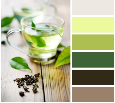 Bảng màu cho tủ bếp phía Đông màu sắc tủ bếp phía Đông