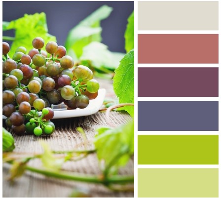 Bảng màu cho tủ bếp phía Đông Nam màu sắc tủ bếp phía Đông Nam