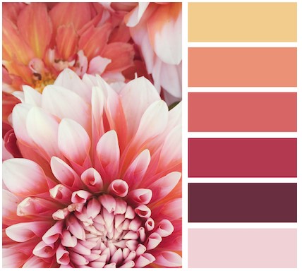 Bảng màu cho tủ bếp khu trung tâm màu sắc tủ bếp khu trung tâm