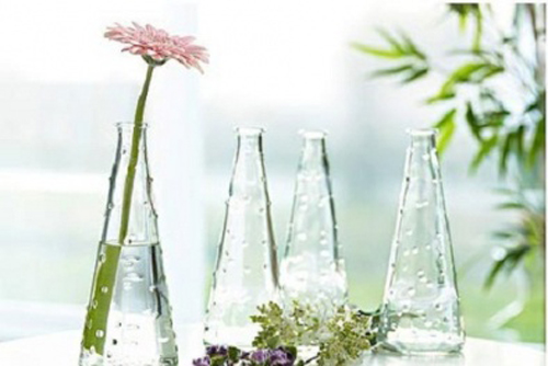 Chậu nước nhỏ rất có lợi cho phong thủy  Đồ vật có lợi cho phong thủy