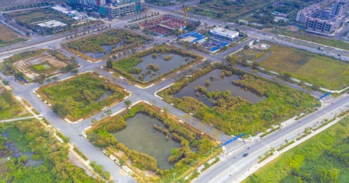 Có hiện tượng thông đồng, để lộ thông tin trong đấu giá đất