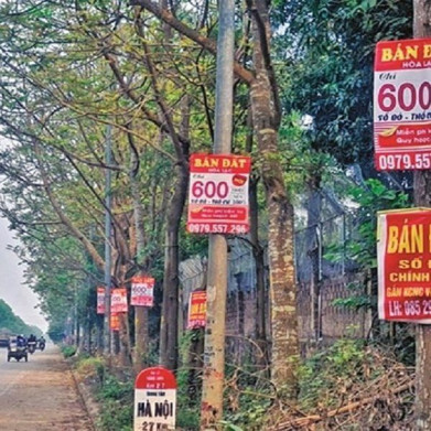 Lý do thị trường bất động sản khắp nơi đều lên “cơn sốt”