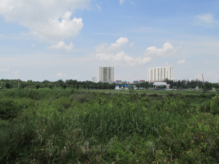 Chủ tịch UBND Tp.HCM cho rằng, hình thức treo bản đồ công bố thông tin quy hoạch đã quá lạc hậu xem thông tin quy hoạch