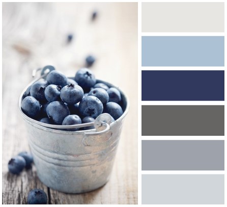 Bảng màu cho tủ bếp phía Bắc màu sắc tủ bếp phía Bắc