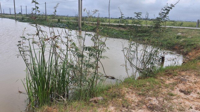 Đấu giá đất thu tiền tỷ dùng trả nợ rồi ‘đem con bỏ chợ’?