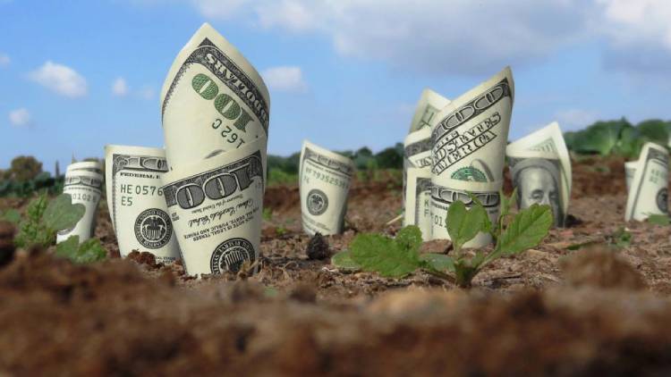 có 4 loại tài sản gắn liền với đất được pháp luật chứng nhận quyền sở hữu một khu đất mọc lên những tờ tiền, minh họa cho tài sản gắn liền với đất